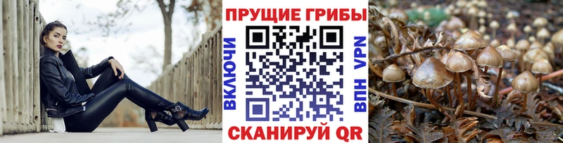 Галлюциногенные грибы ЛСД  darknet состав  Губкин  наркошоп 